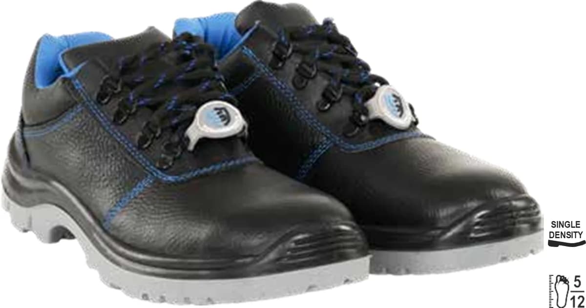 Safewell Astra DD Industrial Safety Shoes